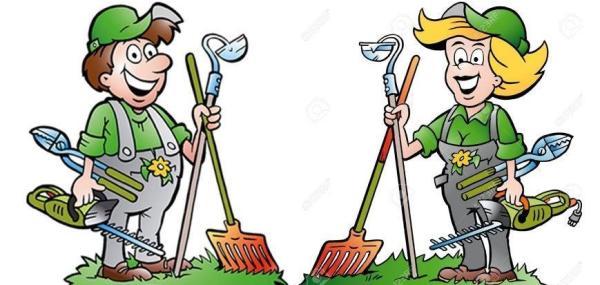 C -Tuinieren-Beplanting mini hofje-proeftuintje