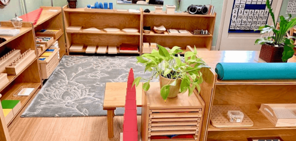 Restrukturashon di nos sentro su salanan