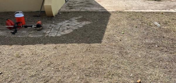 Drecha  un vlur na nos clubhuis den Laufferstraat