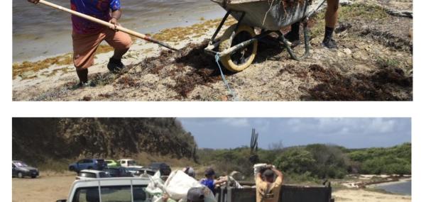 Cleanup + onderhoudsronde Boka Ascencion