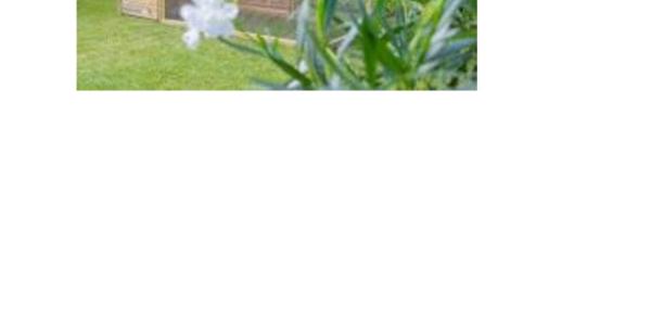 Verbetering Kwartelverblijf Rancho Harmonia