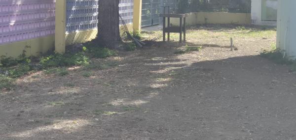 Going Green and Going Healthy. A greenhouse for us