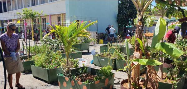 Tuin & keuken renovatie Daily Meal Program
