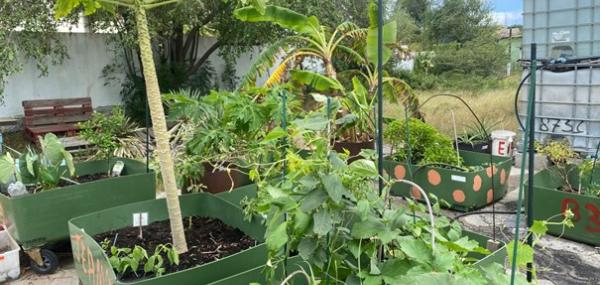 Tuin renovatie Daily Meal Program