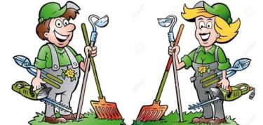 C -Tuinieren-Beplanting mini hofje-proeftuintje