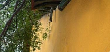 Fundashon Grupo pa Komunidat