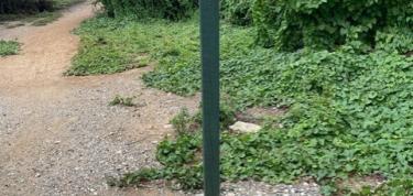 Schoonmaak + uitbreiding faciliteiten Kabouterbos