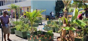Tuin & keuken renovatie Daily Meal Program