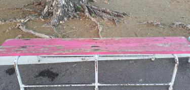 Schoolbanken schilderen