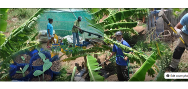 Bin konekta ku naturalesa ku Eco Village Sol