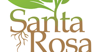 Ban pone un kurason na nos mini velt SB Rosa